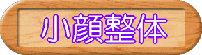 小顔整体(こがおせいたい)
