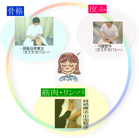 骨格・筋肉・リンパ・皮ふ-顔を構成するそれぞれの深さに応じた部位に適した手技を用いています。