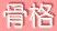 骨格-骨から支えるお顔の健康